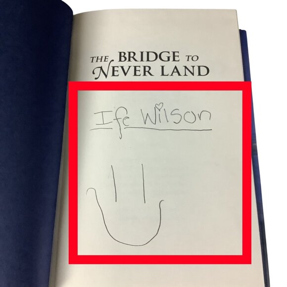 The Bridge To Never Land By Dave Barry & Ridley Pearson First Edition Hardcover - Picture 5 of 16